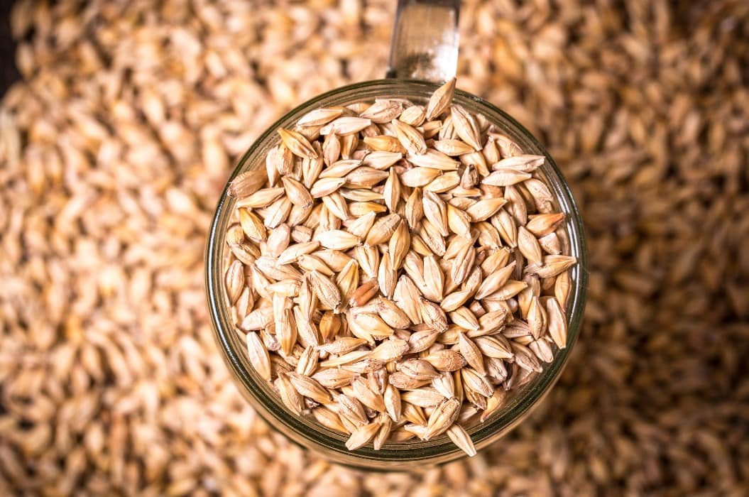 barley and hops on wooden table , beer