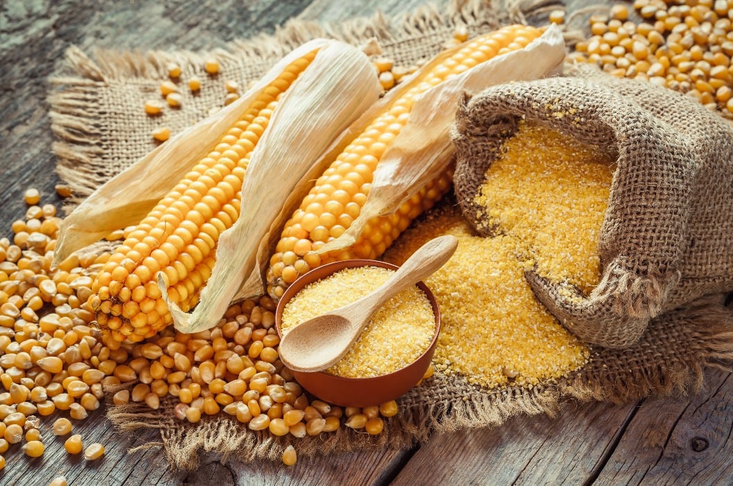 Corn groats and seeds, corncobs on wooden rustic table.