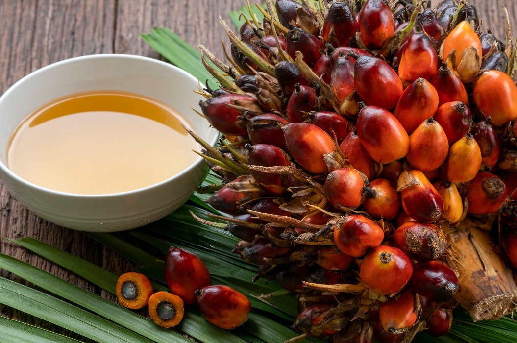 Fresh oil palm fruits and cooking palm oil on a palm leaves in wooden background